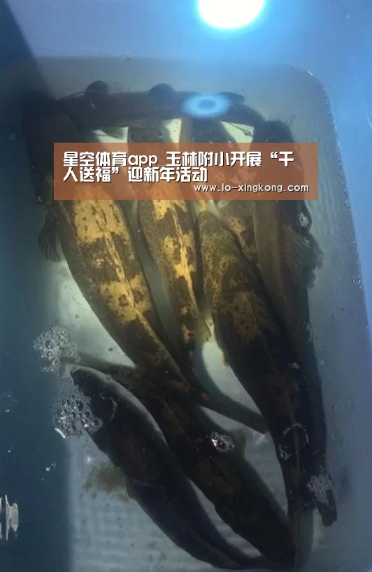 星空体育app_玉林附小开展“千人送福”迎新年活动(图1) 星空体育官网