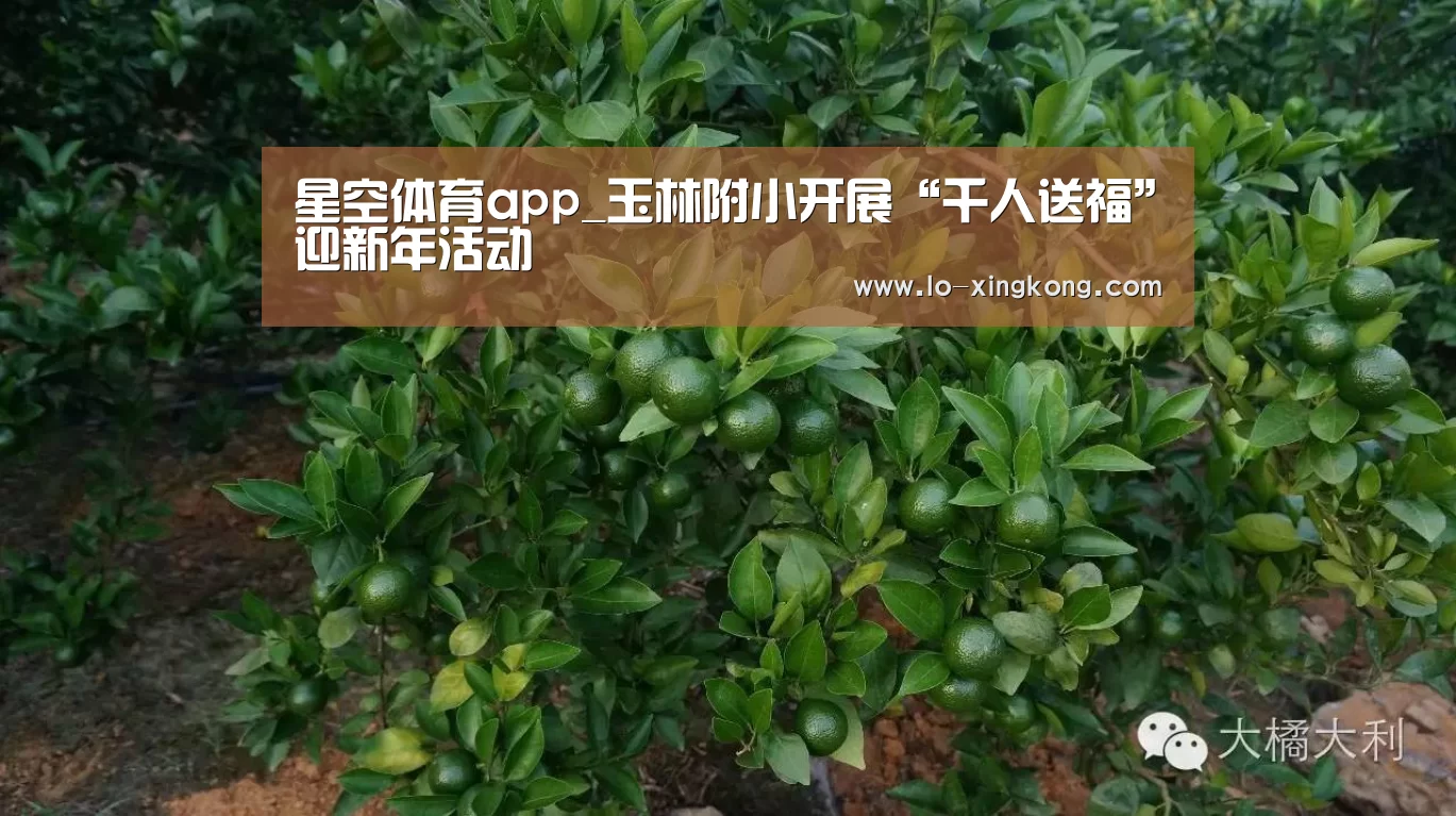 星空体育app_玉林附小开展“千人送福”迎新年活动(图2) 星空APP下载