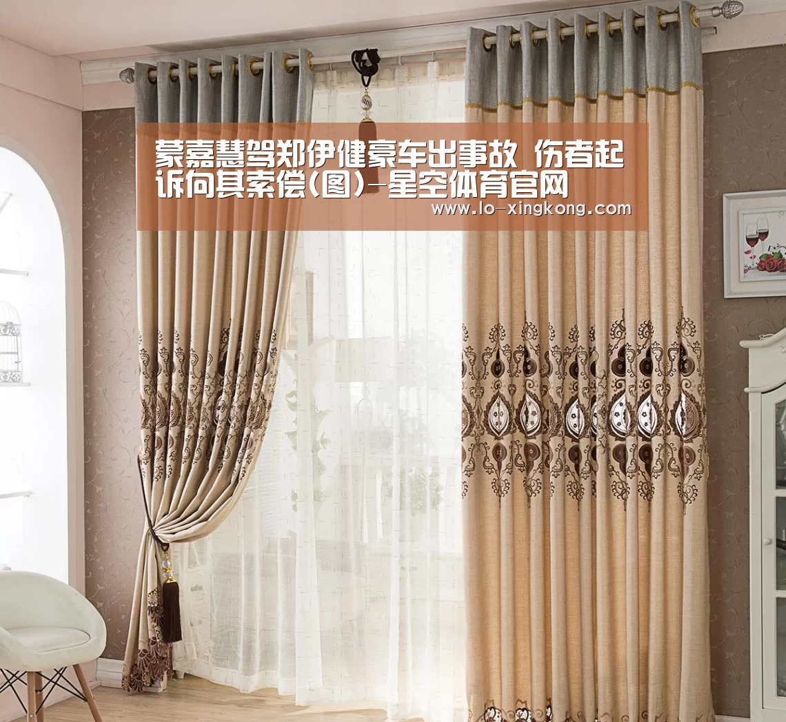 蒙嘉慧驾郑伊健豪车出事故 伤者起诉向其索偿(图)-星空体育官网(图2) 星空APP下载